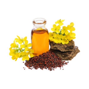 Mustard Oil