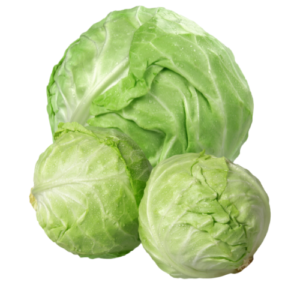 Green Cabbage